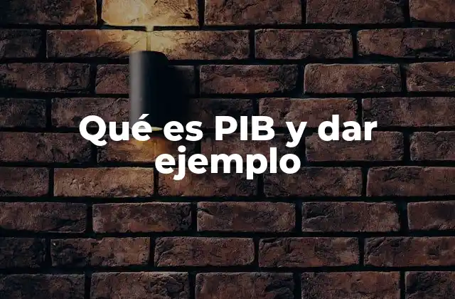 Qué es Pib y Dar Ejemplo