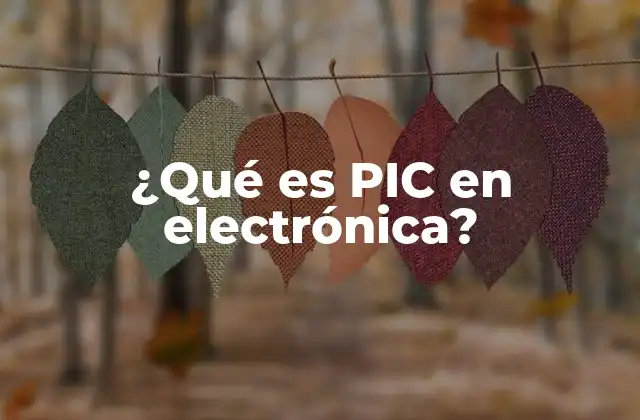 ¿qué es Pic en Electrónica?