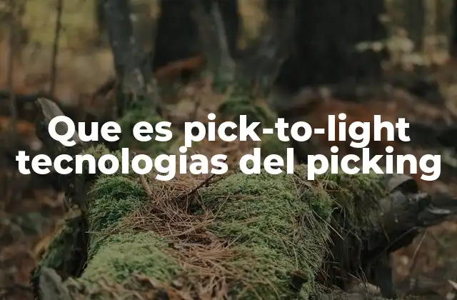 Que es Pick-to-light Tecnologias Del Picking 2 La evolución del picking en la logística moderna