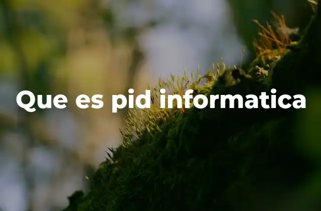 Que es Pid Informatica
