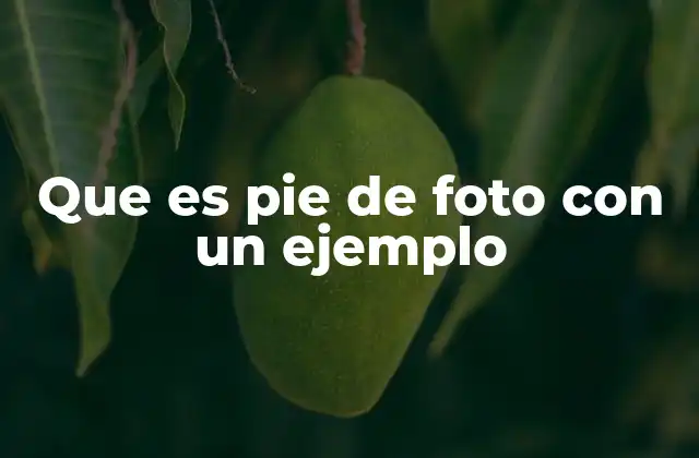 Que es Pie de Foto con un Ejemplo