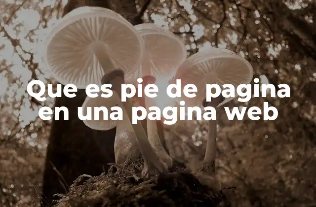 Que es Pie de Pagina en una Pagina Web