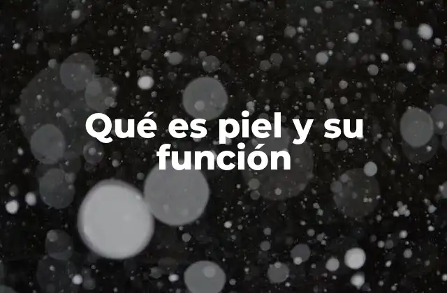 Qué es Piel y Su Función