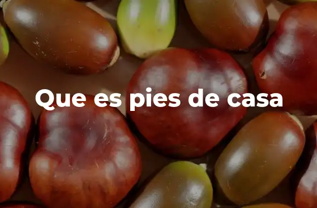 Que es Pies de Casa