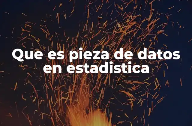 Que es Pieza de Datos en Estadistica