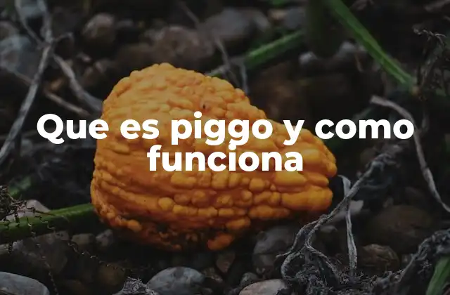 Cómo se diferencia Piggo del resto de plataformas digitales