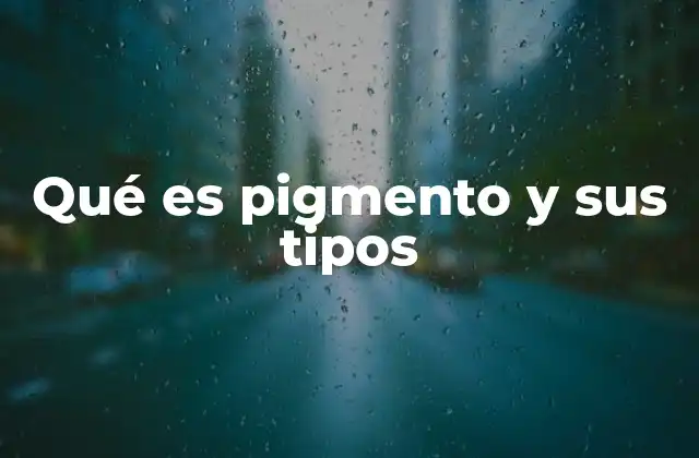 Qué es Pigmento y Sus Tipos