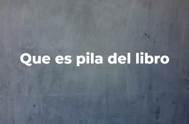 Que es Pila Del Libro