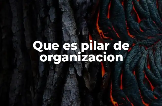 Que es Pilar de Organizacion