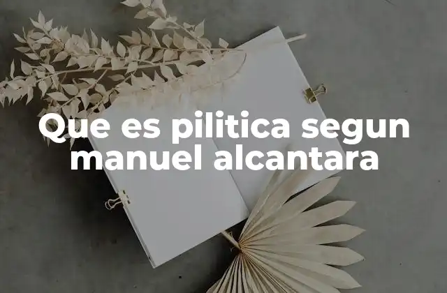 Que es Pilitica Segun Manuel Alcantara