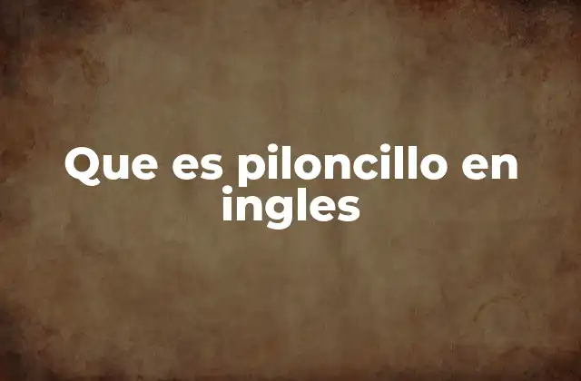 Que es Piloncillo en Ingles 2 El papel del piloncillo en la cocina tradicional
