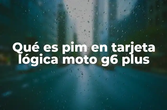 Qué es Pim en Tarjeta Lógica Moto G6 Plus