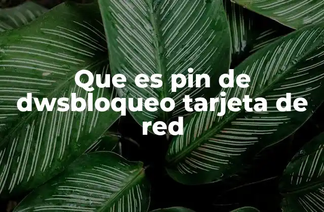 Que es Pin de Dwsbloqueo Tarjeta de Red