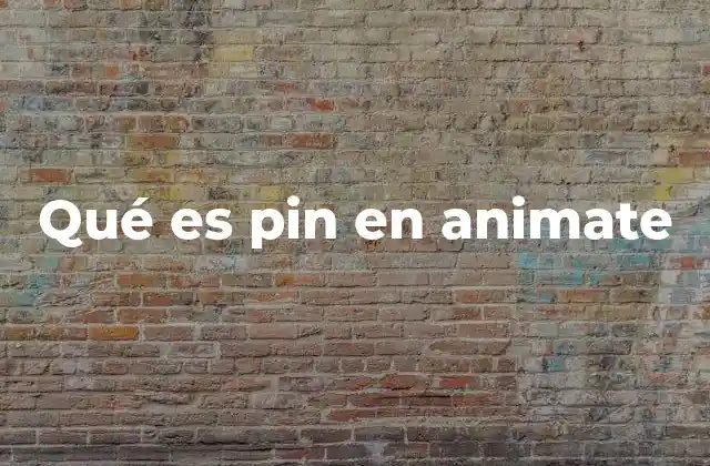 Qué es Pin en Animate