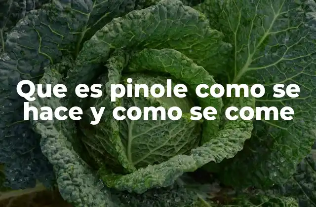 Que es Pinole como Se Hace y como Se Come