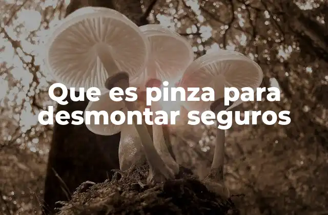 La importancia de usar herramientas especializadas en mecánica