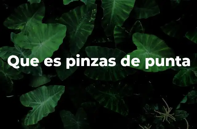 Aplicaciones de las pinzas de punta en diferentes industrias