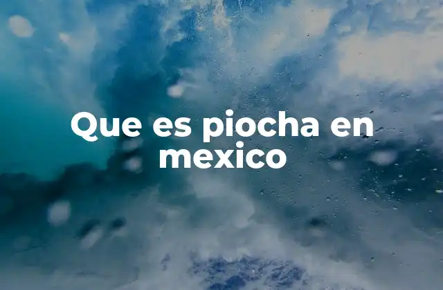 Que es Piocha en Mexico