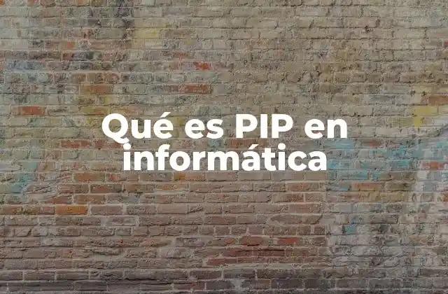 Qué es Pip en Informática