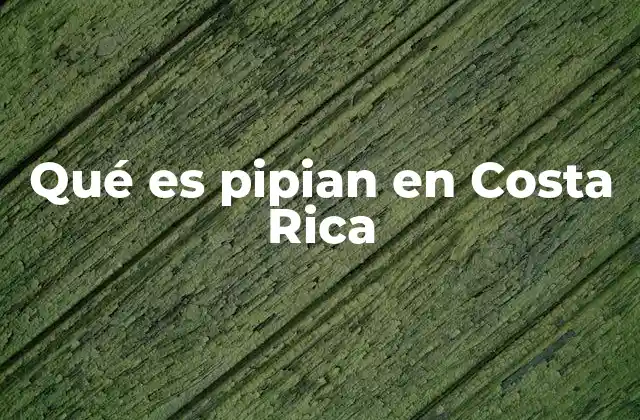 Qué es Pipian en Costa Rica