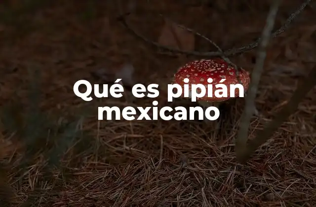 Qué es Pipián Mexicano
