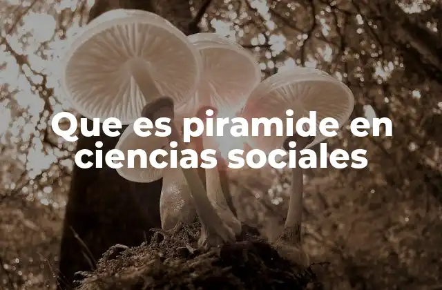 Que es Piramide en Ciencias Sociales