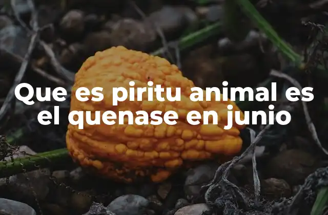 Que es Piritu Animal es el Quenase en Junio