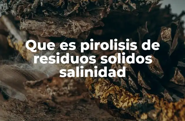 Que es Pirolisis de Residuos Solidos Salinidad