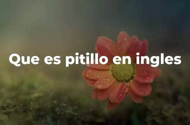 Que es Pitillo en Ingles