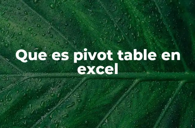 Que es Pivot Table en Excel
