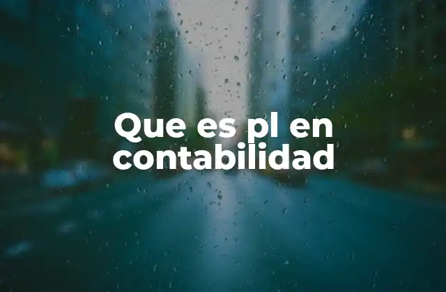 Que es Pl en Contabilidad 2 El papel del PL en la gestión financiera