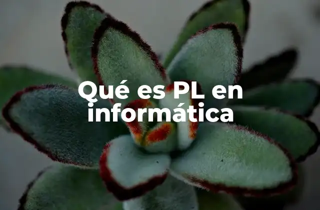 Qué es Pl en Informática