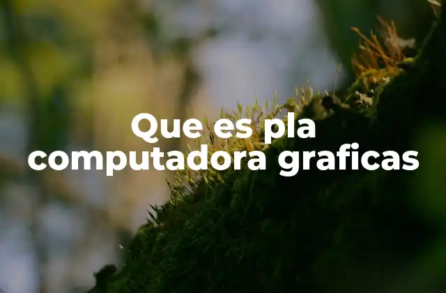 El papel de los circuitos programables en la arquitectura gráfica