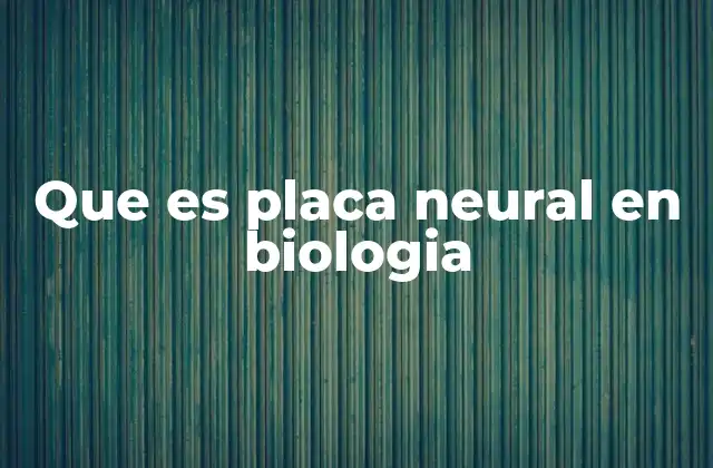 Que es Placa Neural en Biologia
