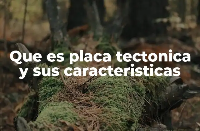 La dinámica de las estructuras terrestres