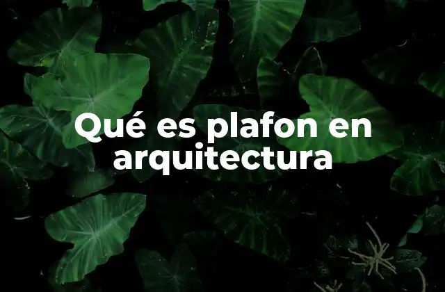 Qué es Plafon en Arquitectura