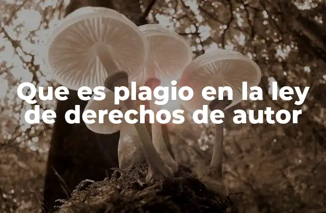 Que es Plagio en la Ley de Derechos de Autor
