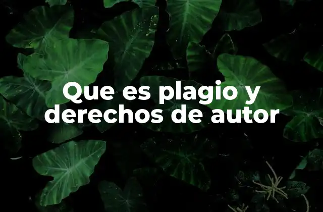 Que es Plagio y Derechos de Autor