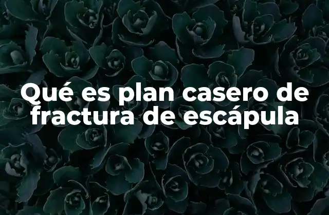 Qué es Plan Casero de Fractura de Escápula
