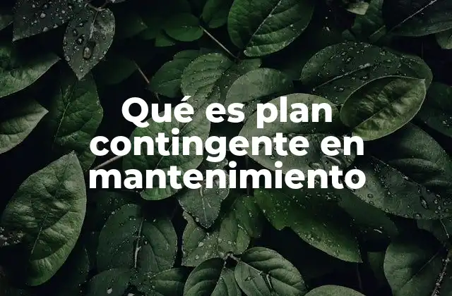Estrategias para la preparación de un plan contingente