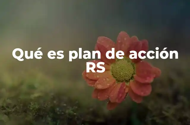 Qué es Plan de Acción Rs