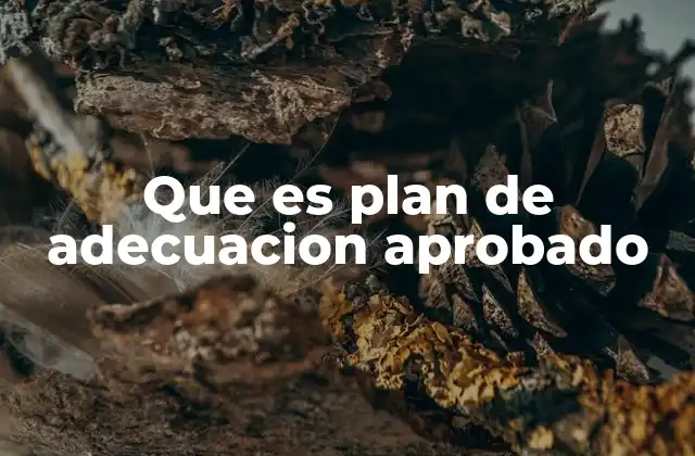 Que es Plan de Adecuacion Aprobado