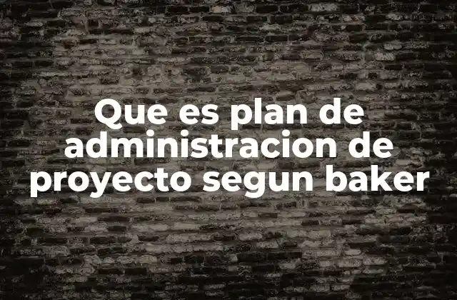 Que es Plan de Administracion de Proyecto Segun Baker