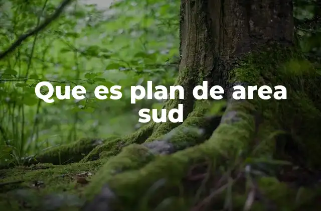 La importancia del plan de área en el sistema educativo argentino