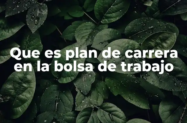 Que es Plan de Carrera en la Bolsa de Trabajo