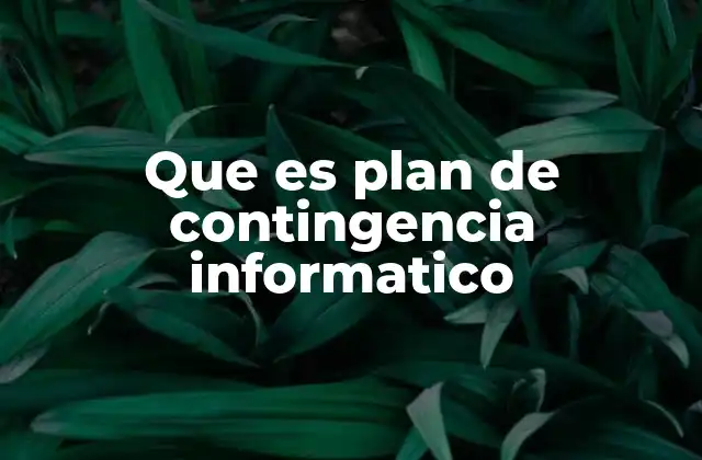 Que es Plan de Contingencia Informatico