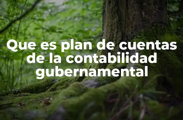 Que es Plan de Cuentas de la Contabilidad Gubernamental
