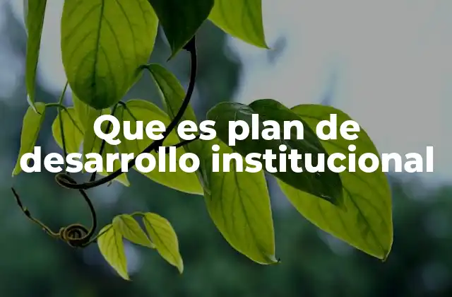 Que es Plan de Desarrollo Institucional