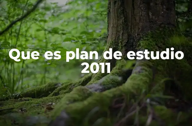 Que es Plan de Estudio 2011
