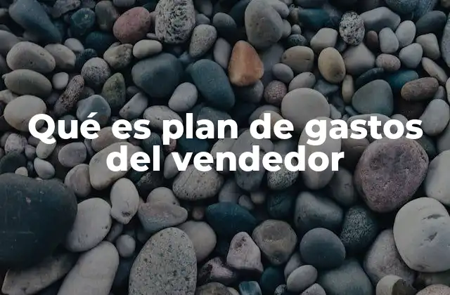 Qué es Plan de Gastos Del Vendedor